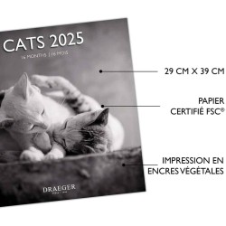 DRAEGER PARIS 1886 - Grand Calendrier Mural 2025-29x29 cm - 7 Langues - Septembre 2024 à Décembre 2025-12 Thèmes Photo - Chats N