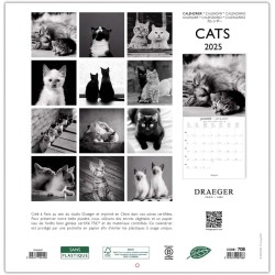 DRAEGER PARIS 1886 - Grand Calendrier Mural 2025-29x29 cm - 7 Langues - Septembre 2024 à Décembre 2025-12 Thèmes Photo - Chats N