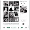DRAEGER PARIS 1886 - Grand Calendrier Mural 2025-29x29 cm - 7 Langues - Septembre 2024 à Décembre 2025-12 Thèmes Photo - Chats N
