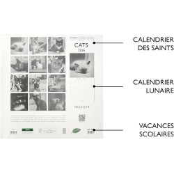 DRAEGER PARIS 1886 - Grand Calendrier mural 28x29 cm 2026 - Thème Chats Noir Et Blanc - 12 mois - Papier FSC - Illustrations dét