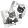 DRAEGER PARIS 1886 - Grand Calendrier mural 28x29 cm 2026 - Thème Chats Noir Et Blanc - 12 mois - Papier FSC - Illustrations dét