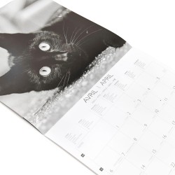 DRAEGER PARIS 1886 - Grand Calendrier mural 28x29 cm 2026 - Thème Chats Noir Et Blanc - 12 mois - Papier FSC - Illustrations dét