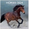 DRAEGER PARIS | Grand calendrier mural Chevaux 2024 à suspendre 29x29cm |16 mois sept-23 à dec 24 | 7 langues | Calendrier burea