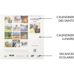 DRAEGER PARIS 1886 - Grand Calendrier mural 28x29 cm 2026 - Thème Chevaux - 12 mois - Papier FSC - Illustrations détachables
