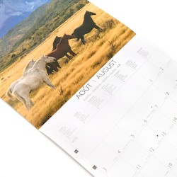 DRAEGER PARIS 1886 - Grand Calendrier mural 28x29 cm 2026 - Thème Chevaux - 12 mois - Papier FSC - Illustrations détachables