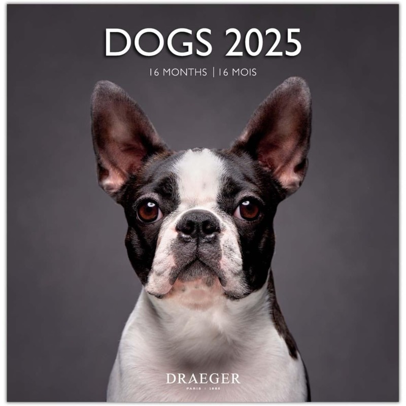 DRAEGER PARIS 1886 - Grand Calendrier Mural 29x29 cm 2025-7 Langues - Septembre 2024 - Décembre 2025 - Thèmes Variés : Chiens - 