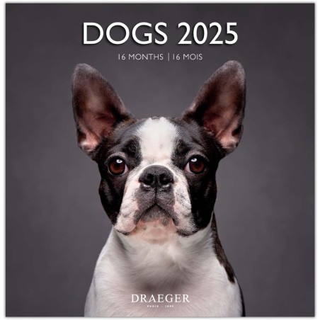 DRAEGER PARIS 1886 - Grand Calendrier Mural 29x29 cm 2025-7 Langues - Septembre 2024 - Décembre 2025 - Thèmes Variés : Chiens - 