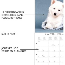 DRAEGER PARIS 1886 - Grand Calendrier Mural 29x29 cm 2025-7 Langues - Septembre 2024 - Décembre 2025 - Thèmes Variés : Chiens - 