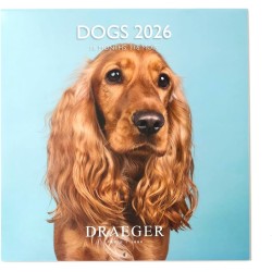 DRAEGER PARIS 1886 - Grand Calendrier mural 28x29 cm 2026 - Thème Chiens - 12 mois - Papier FSC - Illustrations détachables