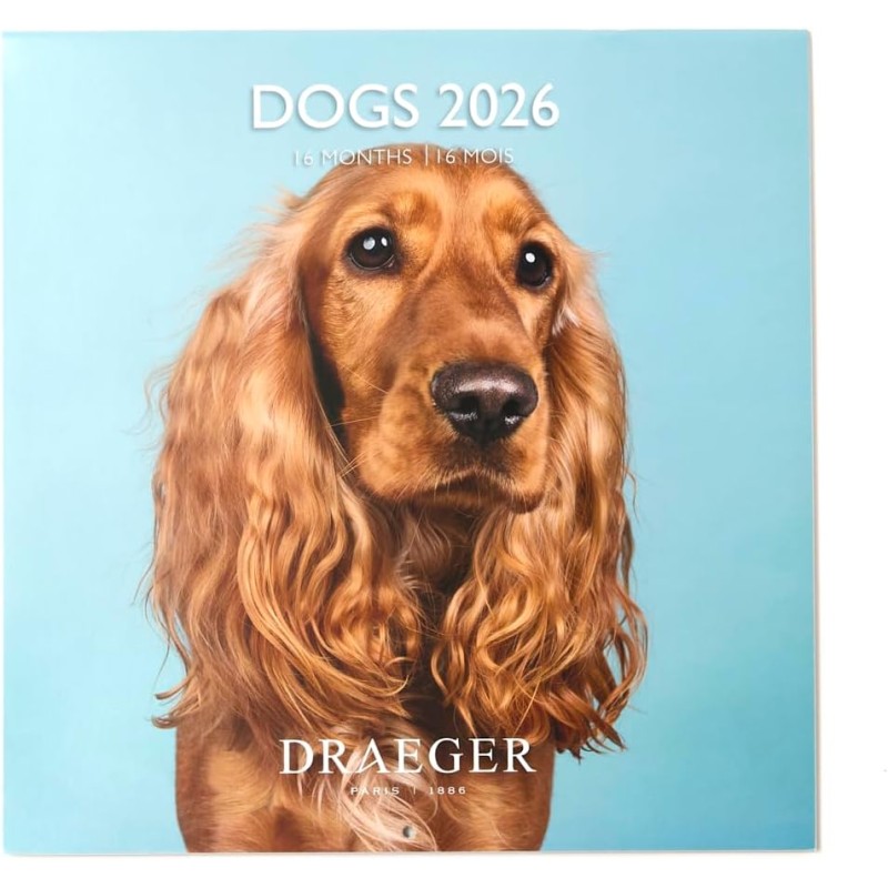 DRAEGER PARIS 1886 - Grand Calendrier mural 28x29 cm 2026 - Thème Chiens - 12 mois - Papier FSC - Illustrations détachables