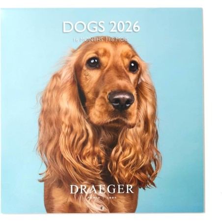 DRAEGER PARIS 1886 - Grand Calendrier mural 28x29 cm 2026 - Thème Chiens - 12 mois - Papier FSC - Illustrations détachables