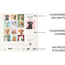 DRAEGER PARIS 1886 - Grand Calendrier mural 28x29 cm 2026 - Thème Chiens - 12 mois - Papier FSC - Illustrations détachables