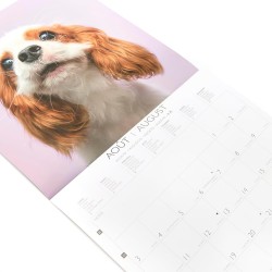 DRAEGER PARIS 1886 - Grand Calendrier mural 28x29 cm 2026 - Thème Chiens - 12 mois - Papier FSC - Illustrations détachables