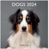 DRAEGER PARIS | Grand calendrier mural Chiens 2024 à suspendre 29x29cm |16 mois sept-23 à dec 24 | 7 langues | Calendrier bureau