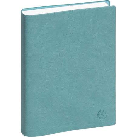 EXACOMPTA Agenda Journalier Journal 17 Winner répertoire 170x120 mm Assorti