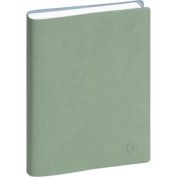 EXACOMPTA Agenda Journalier Journal 17 Winner répertoire 170x120 mm Assorti