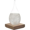 HOME DECO FACTORY - HD0384 Verre Tempête H17 cm, Objet Déco Élégant et Fonctionnel, Baromètre avec Cristaux, Socle en Bois, Inté