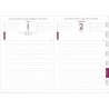 Exacompta - 176411E - Agenda journalier de bureau Journal 17 Winner - 12 x 17 cm - Janvier à décembre 2026 - Coloris noir