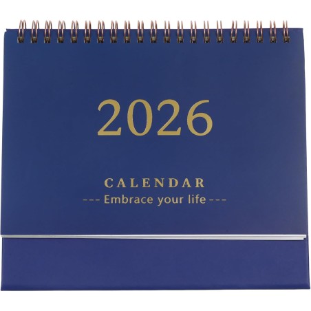 Didiseaon Calendrier De Bureau 2025-2026 : Petit Calendrier De Bureau De Juillet 2025 À Décembre 2026 Planificateur Mensuel À Ra