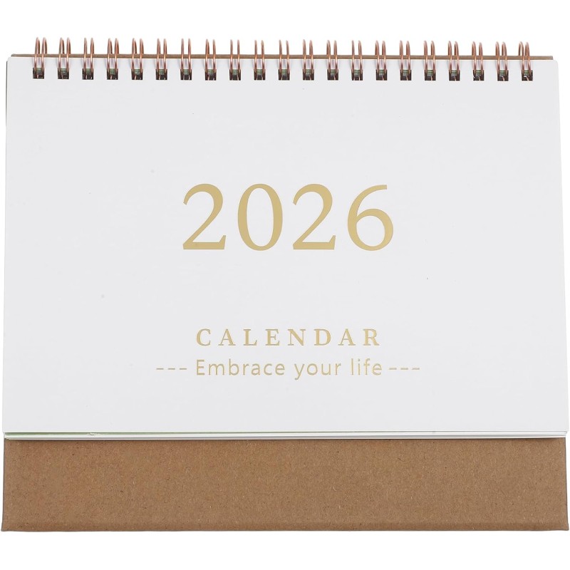 Didiseaon Calendrier De Bureau 2025-2026 : Petit Calendrier De Bureau De Juillet 2025 À Décembre 2026 Planificateur Mensuel À Ra