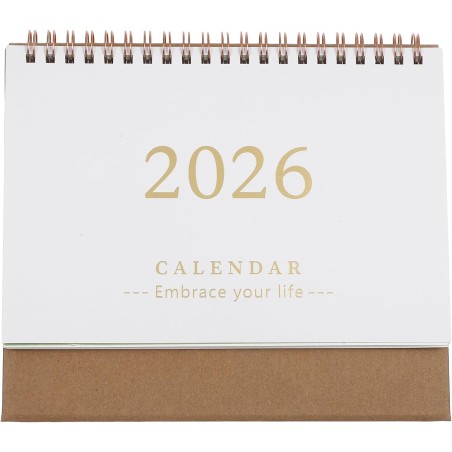 Didiseaon Calendrier De Bureau 2025-2026 : Petit Calendrier De Bureau De Juillet 2025 À Décembre 2026 Planificateur Mensuel À Ra