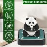 Calendrier 3D 2026 à déchirer - Calendrier de bureau 365 jours avec lumières et socle - Utilisez des sculptures en papier d'art 