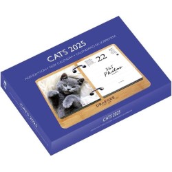 DRAEGER PARIS - Coffret éphéméride Agenda Yvon 2025-7 langues - 365 feuillets et socle en bambou réutilisable - 1 photo pour cha