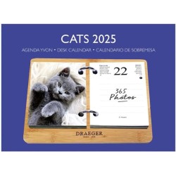 DRAEGER PARIS - Coffret éphéméride Agenda Yvon 2025-7 langues - 365 feuillets et socle en bambou réutilisable - 1 photo pour cha