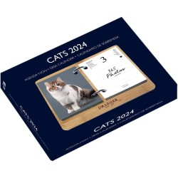 DRAEGER PARIS | Coffret Agenda éphéméride Yvon France janvier-dec 2024 | Socle bambou | 365 jours 365 feuillets | Agenda bureau 