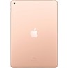 2019 Apple iPad (10,2-pouces, Wi-Fi, 32 Go) Or (Reconditionné)