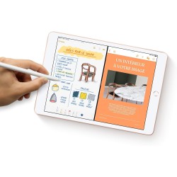 2019 Apple iPad (10,2-pouces, Wi-Fi, 128 Go) Argent (Reconditionné)