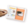 2019 Apple iPad (10,2-pouces, Wi-Fi, 128 Go) Argent (Reconditionné)