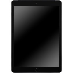2019 Apple iPad (10,2-pouces, Wi-Fi + Cellulaire, 128 Go) Gris Sidéral (Reconditionné)