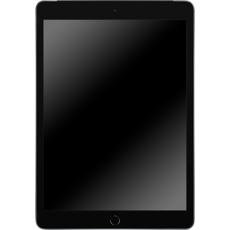 2019 Apple iPad (10,2-pouces, Wi-Fi + Cellulaire, 128 Go) Gris Sidéral (Reconditionné)