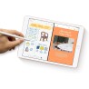 2019 Apple iPad (10,2-pouces, Wi-Fi + Cellulaire, 32 Go) Or (Reconditionné)