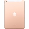 2019 Apple iPad (10,2-pouces, Wi-Fi + Cellulaire, 128 Go) Or (Reconditionné)