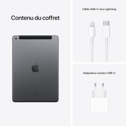 2021 Apple iPad (10,2-pouces, Wi-Fi + Cellulaire, 64 Go) Gris Sidéral (Reconditionné)