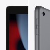 2021 Apple iPad (10,2-pouces, Wi-Fi, 256 Go) Gris Sidéral (Reconditionné)