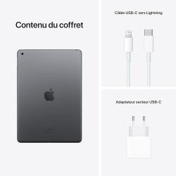 2021 Apple iPad (10,2-pouces, Wi-Fi, 256 Go) Gris Sidéral (Reconditionné)