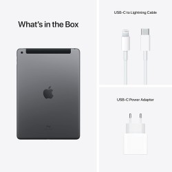 2021 Apple iPad (10,2-pouces, Wi-Fi + Cellulaire, 256 Go) Gris Sidéral (Reconditionné)
