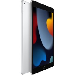 2021 Apple iPad (10,2-pouces, Wi-Fi, 256 GB) Argent (Reconditionné)