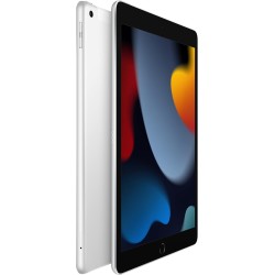 Apple 2021 iPad (10,2-Pouces, Wi-FI + Cellulaire, 256 Go) Argent (Reconditionné)