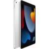 Apple 2021 iPad (10,2-Pouces, Wi-FI + Cellulaire, 256 Go) Argent (Reconditionné)