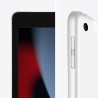 Apple 2021 iPad (10,2-Pouces, Wi-FI + Cellulaire, 256 Go) Argent (Reconditionné)