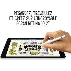 Apple 2021 iPad (10,2-Pouces, Wi-FI + Cellulaire, 256 Go) Argent (Reconditionné)