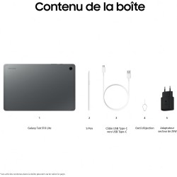 Samsung Galaxy Tab S10 Lite, 10.9", Wi-FI, 256Go, Tablette Android, S Pen Inclus, Gris, Chargeur Secteur Rapide 25W Inclus, Vers