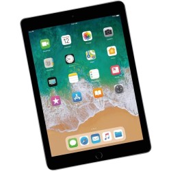 Apple iPad 9.7 (5e Génération) 128Go Wi-FI + Cellular - Gris Sidéral - Débloqué (Reconditionné)