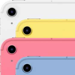 Apple iPad 10,9 Pouces (Wi-FI + Cellular, 256 Go) - Argent (10e génération)