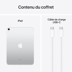Apple iPad 10,9 Pouces (Wi-FI + Cellular, 256 Go) - Argent (10e génération)