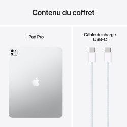 Apple iPad Pro 13 Pouces (M5) : Écran Ultra Retina XDR Verre Standard, 512 Go, Caméra Avant Horizontale 12 MP/Caméra arrière 12 
